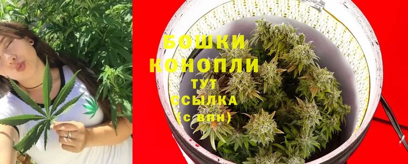 Бошки Шишки Bruce Banner  Богородск 